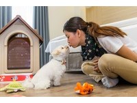 绘日之丘毛小孩住宿专案延到年底