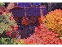 中台湾3座赏枫秘密花园　秋日限定枫红梦境