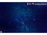 妈祖认证的奇迹美景　彰化王功沿海现身梦幻萤光！