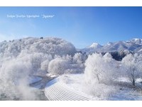 台人爱游日！平均载客率有7成　传虎航有意开航北海道航线