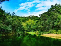 超有意境！汐止山中隐藏绿宝石秘境“迷你版梦湖”