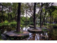 高雄市区中的“忘忧森林”　捷运能直达的秘密仙境