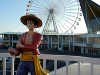 跟着鲁夫冒险去！搭千阳号出海　乔巴、娜美都在船上
