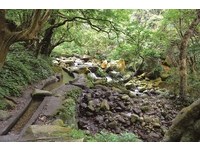 夏天到山林瀑布找清凉　新北市精选5条登山步道