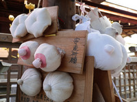 日本特殊寺院有上万女性乳房　慈尊院为女性健康祈福