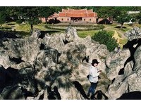 台北市中心漫游小趣味！登“顾渚茗山”仿佛踏入水墨画