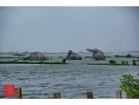 梅姬发威！云林口湖成龙湿地“水核心”造景全吹坏