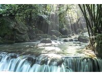 春夏专属的美景！土城龙泉溪“溪流斜射光”提前现踪