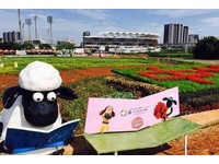 桃园花彩节　花海虽未盛开但是地景艺术品也很吸睛