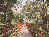 走吧！我们上山去　北市5条“搭捷运就到”的绝美登山步道