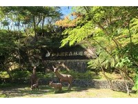 台东“知本森林游乐区”　国庆日入园门票半价