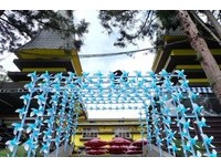 2017清境风车节7月登场　打造天蓝色风车波浪