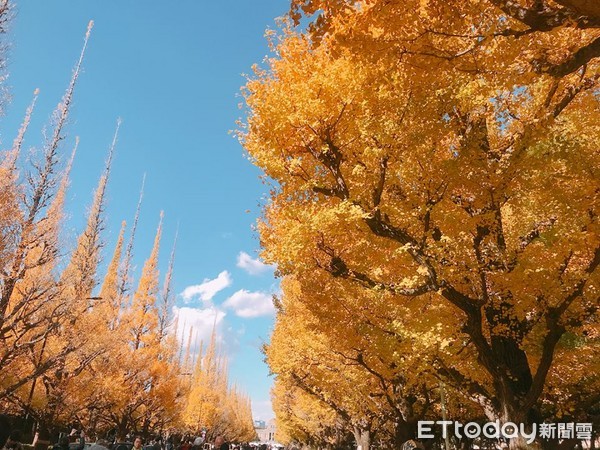 ▲%级?┟髦紊窆?庠芬?印＃ㄍ迹??雅ika授权提供，请勿翻摄）