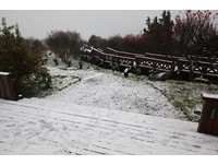 赏雪看这里！全台25处“下雪旅游景点”懒人包