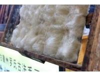 黄山穿越时空！慢走安徽屯溪老街　尝一口“长毛的豆腐”