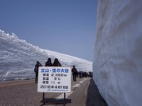立山黑部今日正式开山了！13米银白雪壁超美又壮观