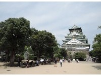 暑假竟然比平日还便宜　日本团费最多降8000元