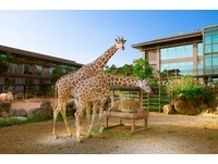 旅展来不及去没关系　六福集团推出线上旅展晚鸟优惠