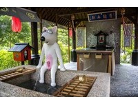 纪念爱犬　他在南投打造3000坪新景点“妖怪糖狗村”