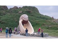 鹦鹉螺不在海里在地上！　国立海科馆新造6米溜滑梯