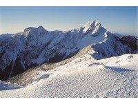 登山客们久等了！静山休养一个月　玉山3月1日开放见客