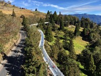 盼了2年！南投旅游新亮点“清境高架景观步道”2月登场