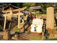 一万只招财猫住在这！猫奴必去的日本德岛“喵星人神社”