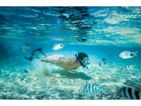 Club Med旅游大联萌，全包式假期亲子轻松FUN暑假