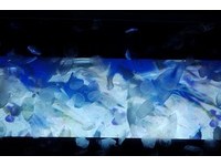 东京晴空塔上的梦幻水族馆　迷幻投影水母舞动！