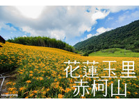 忘却烦忧的场域　黄金色地毯铺满赤柯山