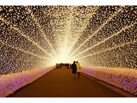 日本最大灯海“名花之里”交通攻略　830元还包门票晚餐