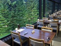 北海道必访！　大片针叶林包围佐美食的超梦幻森林