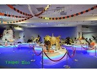 动物园迁址30周年庆祝　大小朋友“惊森尖叫”玩万圣
