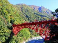 立山黑部还能这样玩！持阿里山森铁票　日本秘境铁道免费