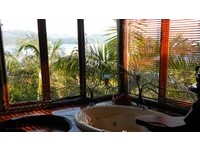 回忆童年时光的秘密基地！精选澳洲7大绝美“树屋旅馆”