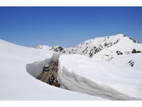 穿过海拔2450米的雪之大谷　日本“立山黑部”16日开山