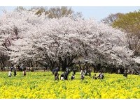 过年出国旅游报名看仔细！观光局公布39间问题旅行社
