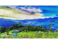 舍不得眨眼的流动美景　全台“4处景观农场”一秒爱上