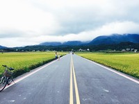 网友热搜的台东超人气10大景点　第一名伯朗大道！