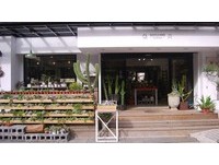 看着多肉植物放空一下午！全台3家多肉植物疗愈小店