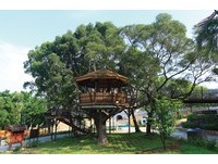 仿佛梦幻童话世界！精选全台3个人气“树屋”景点
