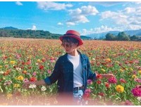 只开100天的缤纷浪漫　花莲富里“百日草花海”现在正美