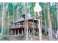最疗愈的木屋教室！山林中的绿光小学还能在树间荡秋千