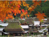 发现京都最疗愈风景：美山町，还有倒著看的天桥立