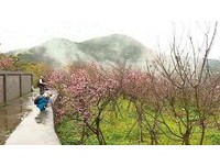 免费送姜茶、暖暖包　北市行动旅服车陪民众阳明山追雪