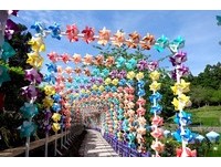 清境农场风车节开跑　数万彩虹风车将山林染成马卡龙色