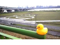 三重新亮点！超疗愈鸭鸭图腾中兴桥下浮现