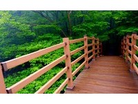 下雨天更美的秘境！到济州思连伊林道寻找“秘密花园”