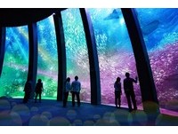 让桃园更好玩！日本“横滨八景岛”来台开4500坪水族馆