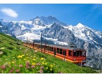 小王子陪你　德瑞“心”旅行　品味米其林好食光